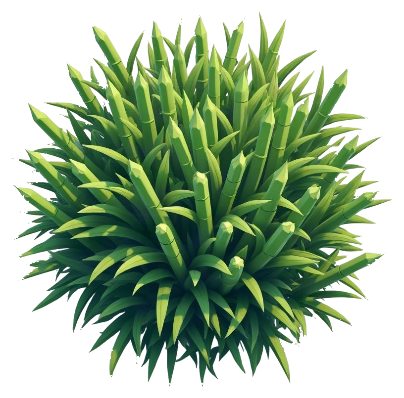 bamboo
