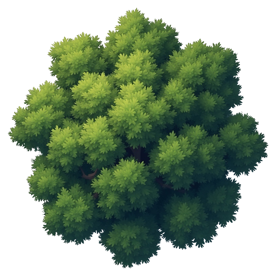 oak