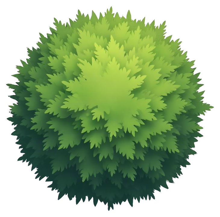 shrub